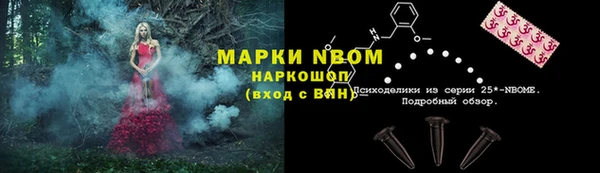 твердый Абаза